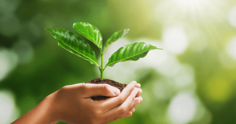 Chlorine Dioxide is eco-friendly and sustainable