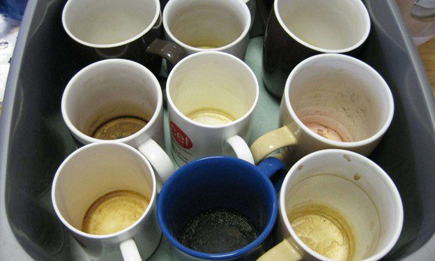 coffee and tea cup stains are signs of hidden bacteria