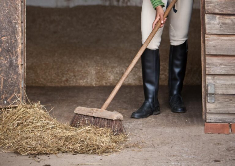A rider finishes the cleaning of a horse stall.