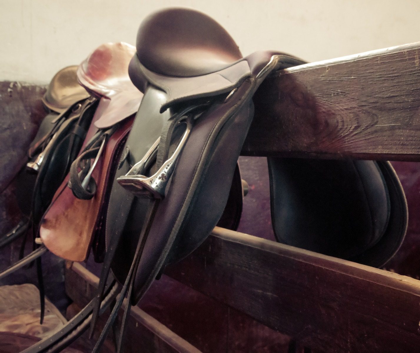Sanitizing & Deodorizing Horse Tack with Chlorine Dioxide