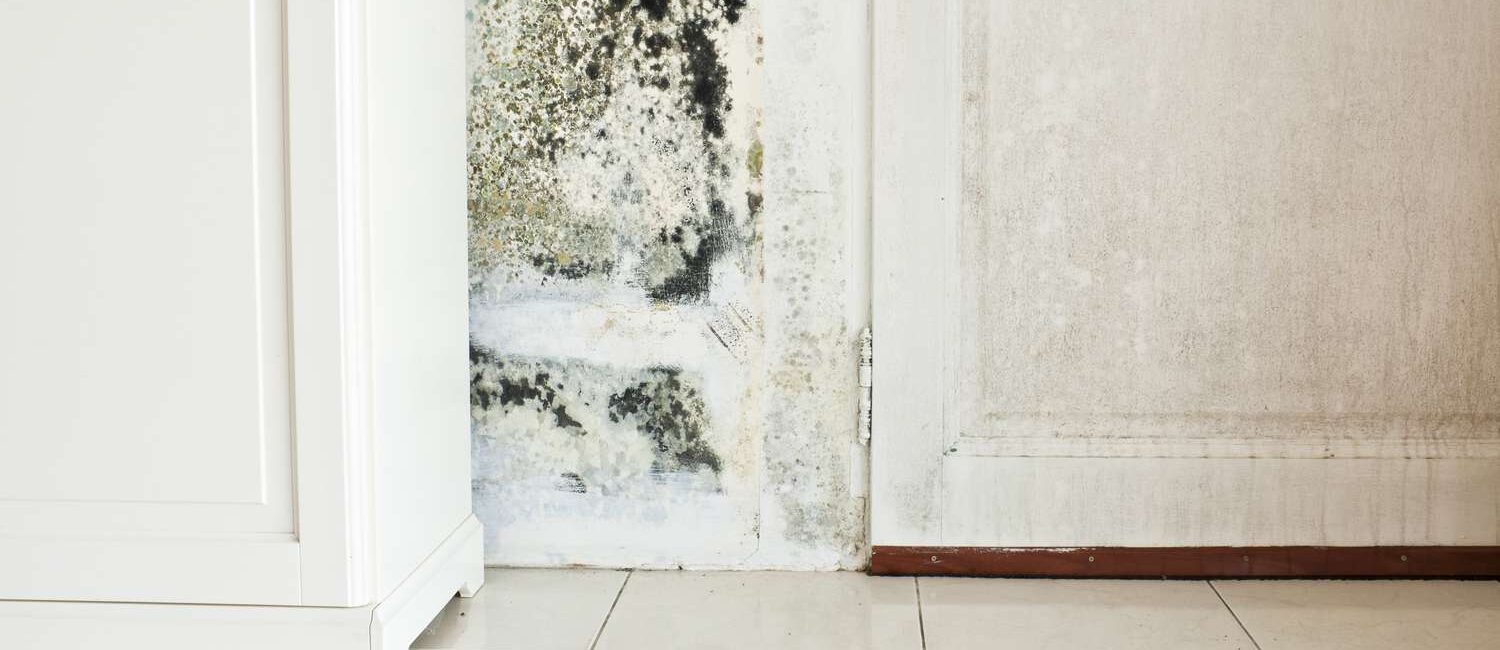 How Do You Remove Mildew Stains From Surfaces?