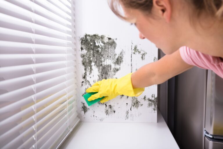a woman removing mold from windows with a scrub.