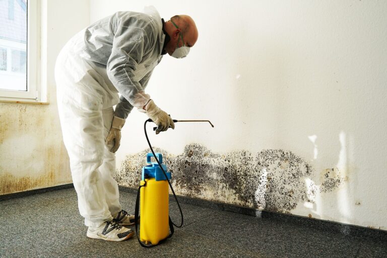 a mold remediation expert spraying clo2 solution on mold to kill mold.