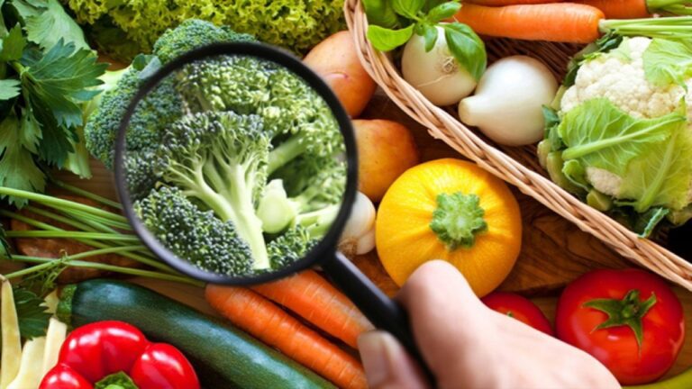 close shot of a hand with magnifying glass seeing vegetables.