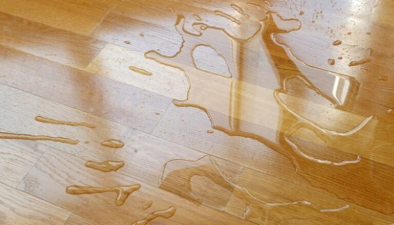 urine stain on hardwood floor.