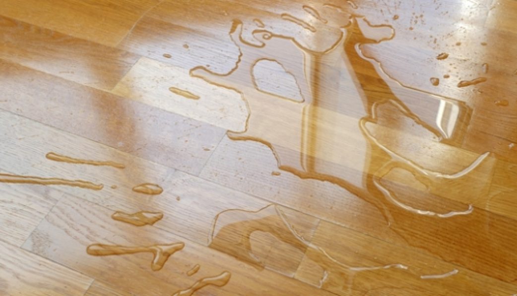 How To Remove Urine Odor From Wood Floors?