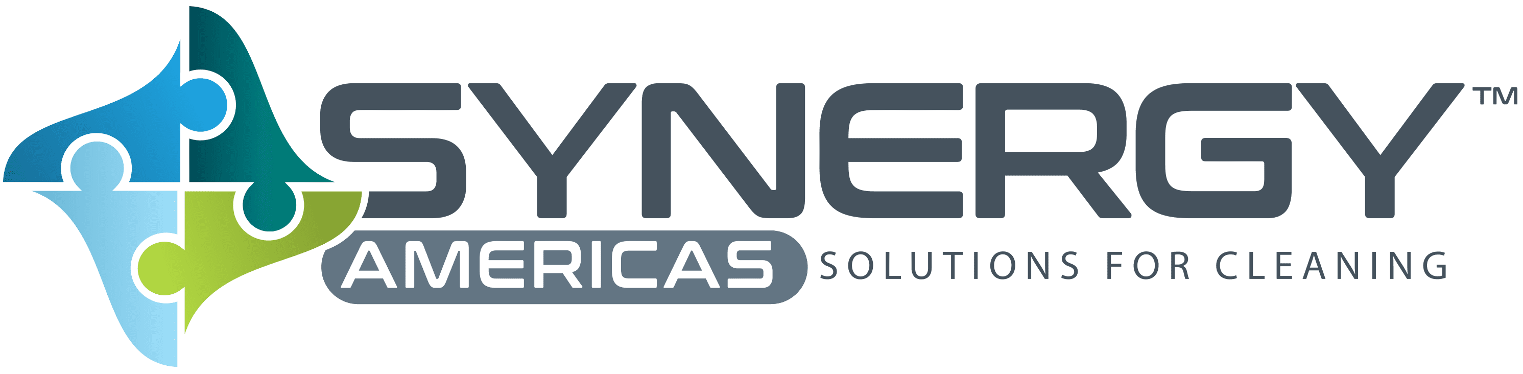 Synergy Americas Logo