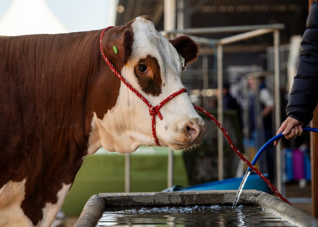 agriculture water testing