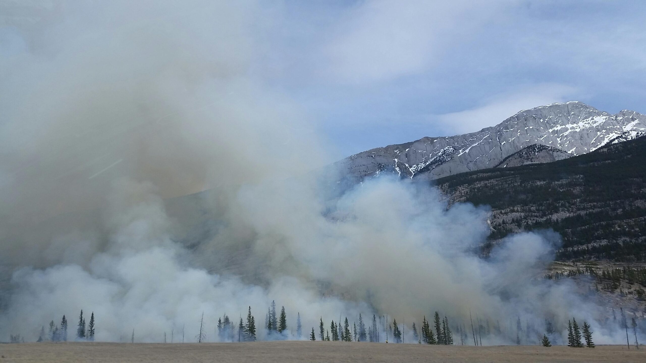 How to Remove Wildfire Smoke Smell Indoors—Effectively