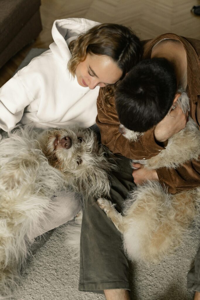 Clo2 is safe around family and pets.