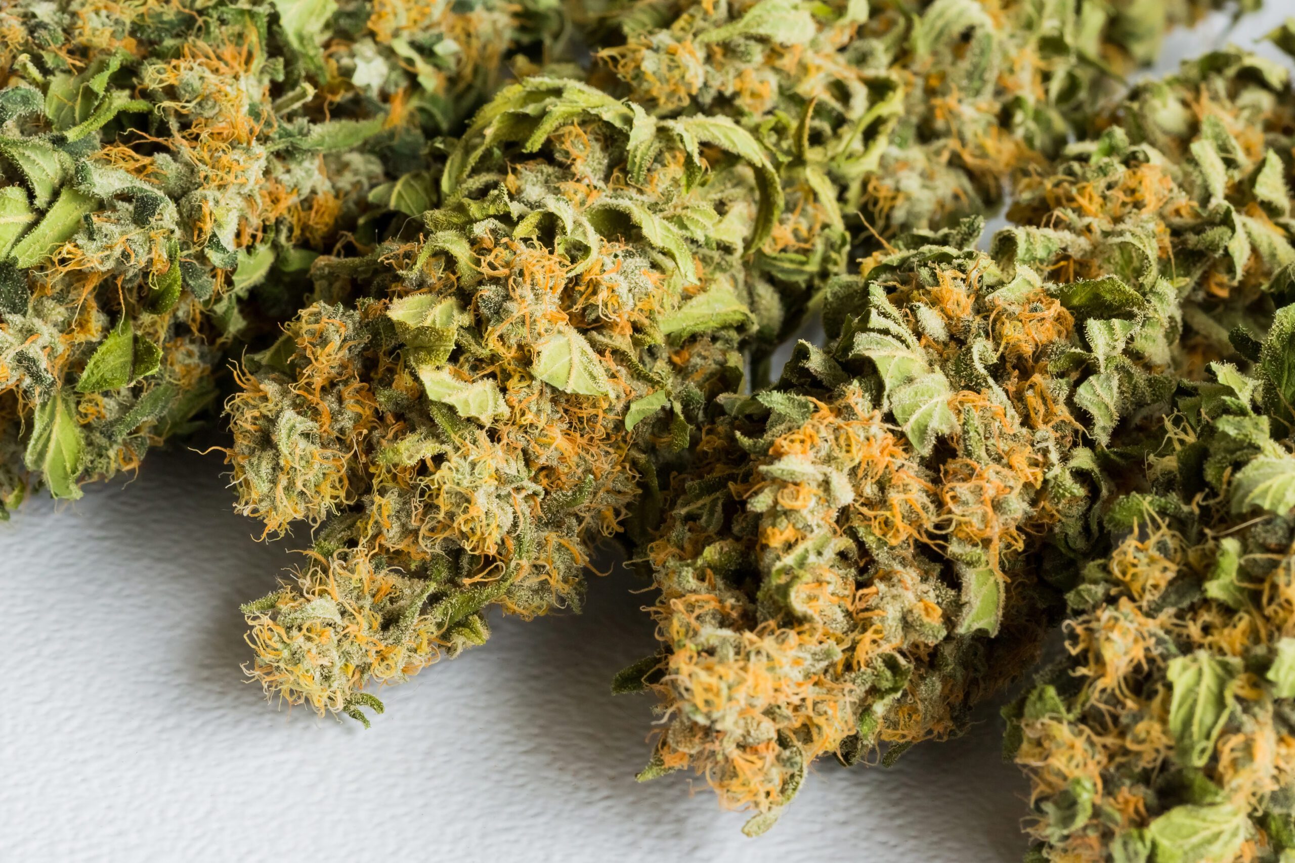 The flowering stage is critical — buds are forming, and plants are most susceptible to bud rot (Botrytis), mold, and mildew. A single outbreak can destroy weeks of work.