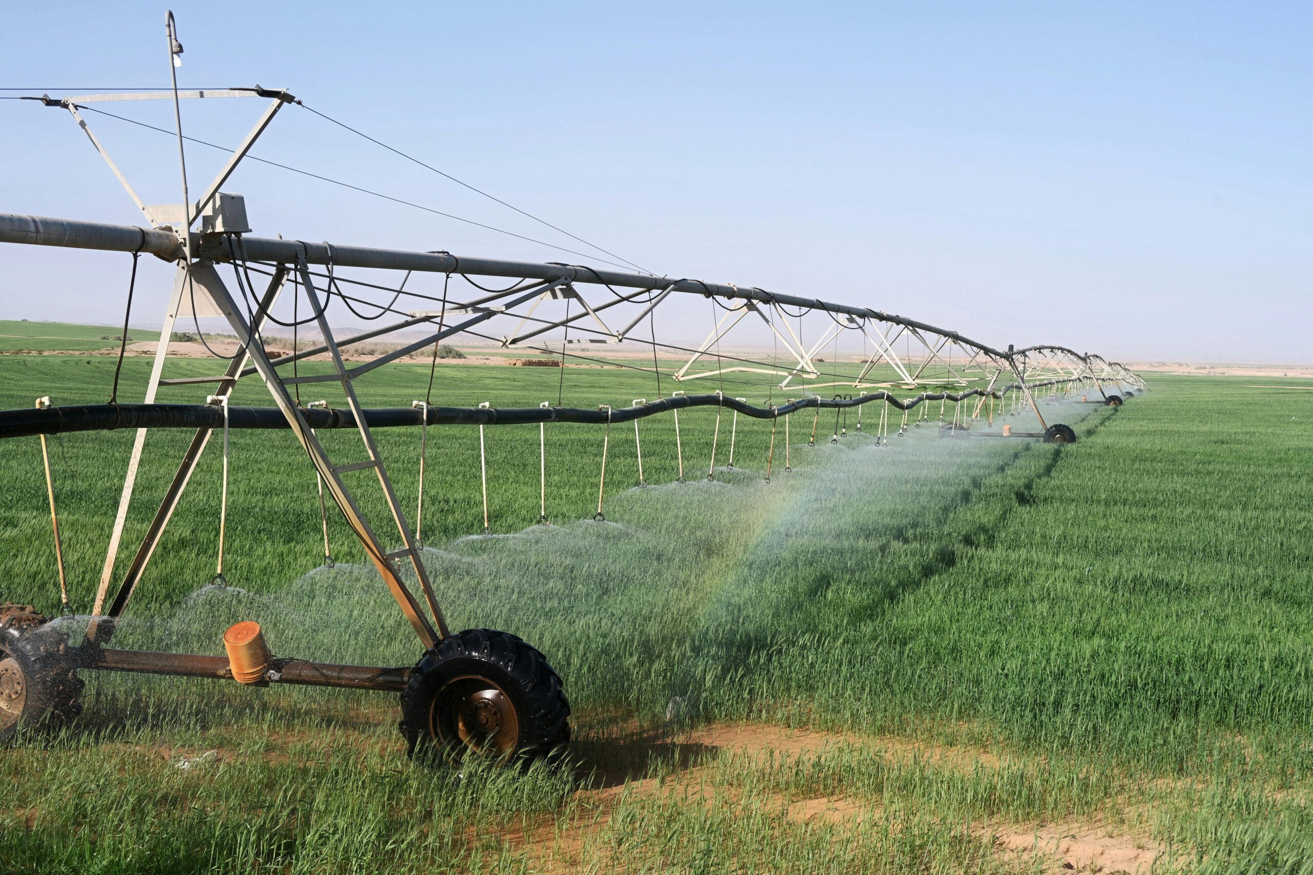 Irrigation water is a lifeline, but it’s often a hidden source of pathogens. Biofilm buildup in lines and tanks can harbor E. coli, Pythium, or even algae that stifle plant roots.