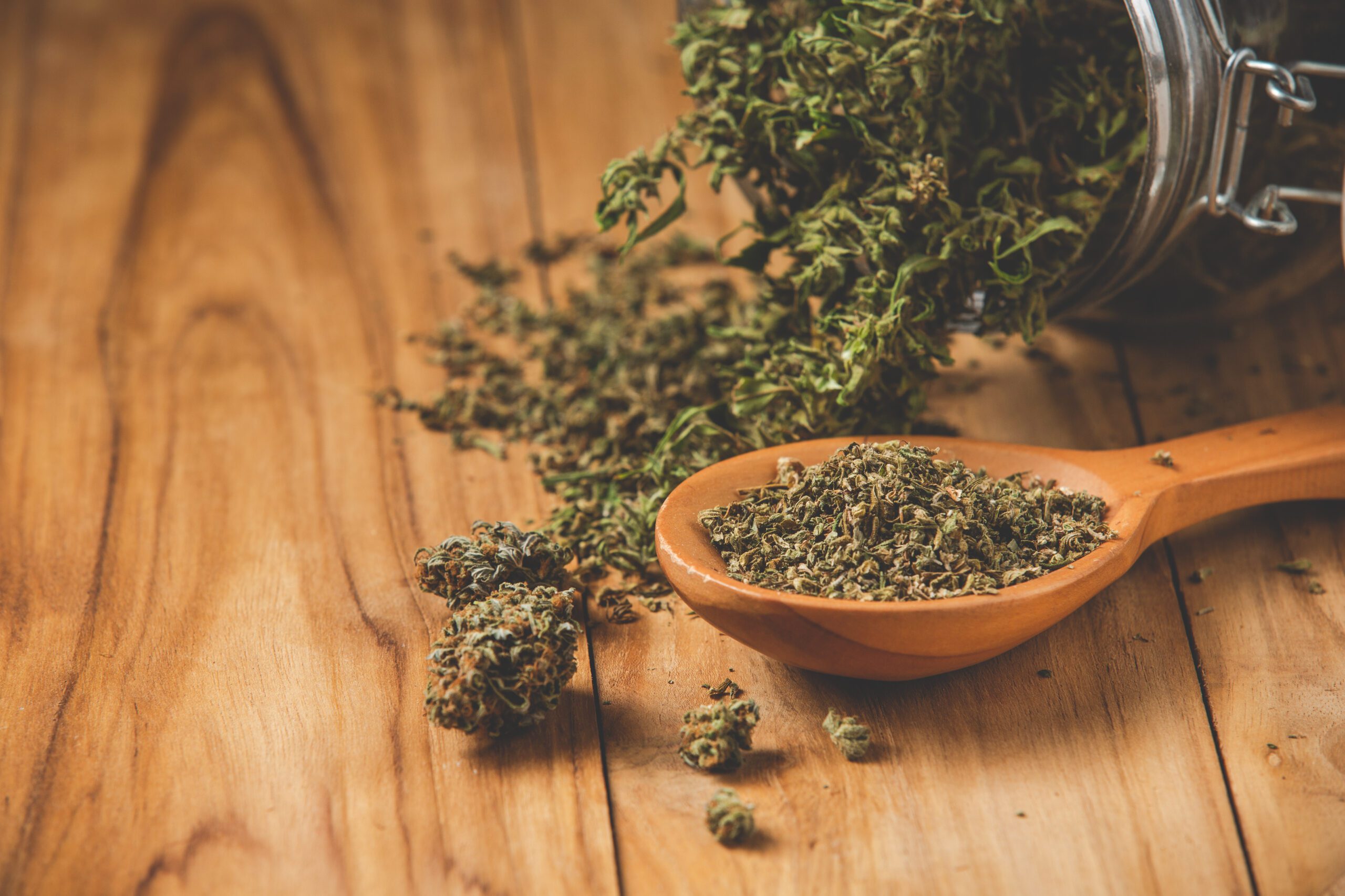 The journey to a thriving cannabis crop begins at the seed. Even a healthy-looking seed can harbor bacterial or fungal spores on its surface. Without intervention, these pathogens can attack roots, stunt growth, and reduce germination success.
