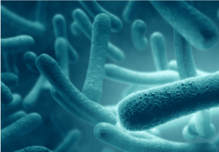 What exactly is a biofilm? A structured microbial community encased in a self-produced matrix of polymers, adhering to surfaces.