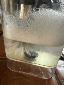 Give the tank a good scrub to get the yuck out of the bottom.