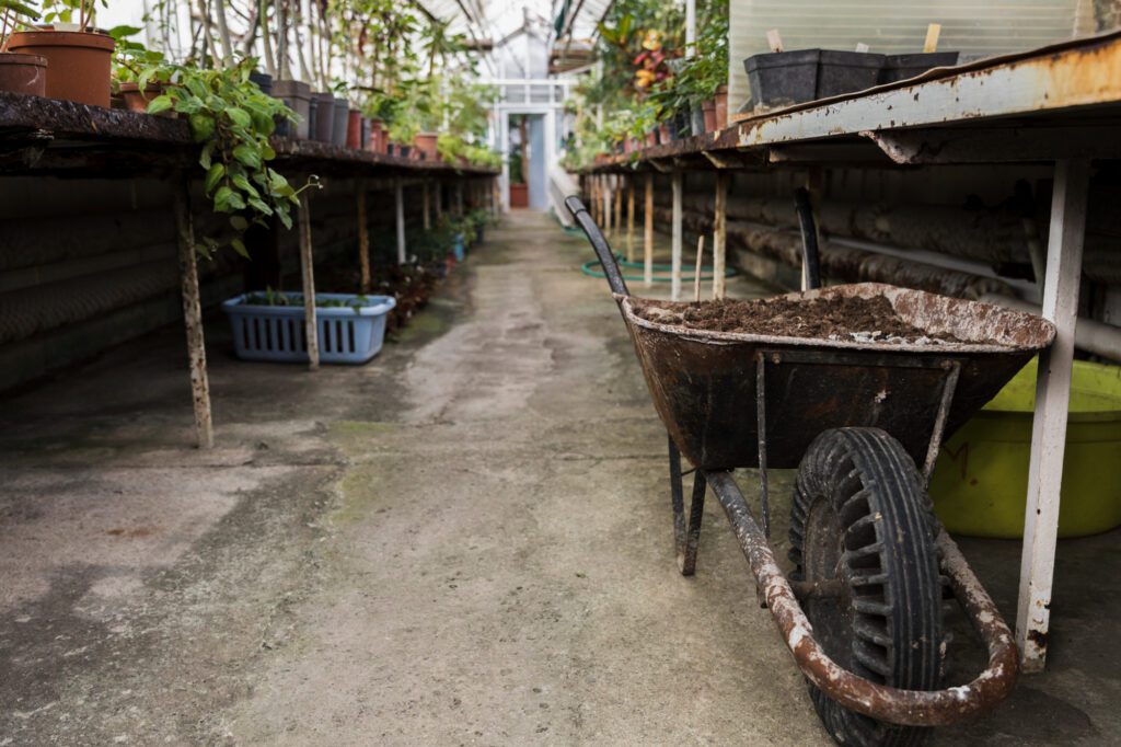 debris removal and clean evironment keeps mold overload under control.