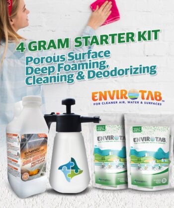 Mold Clean-up Starter Kit