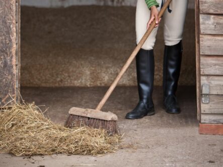 A rider finishes the cleaning of a horse stall.