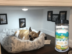 Eliminate odors from pets with Envirotab