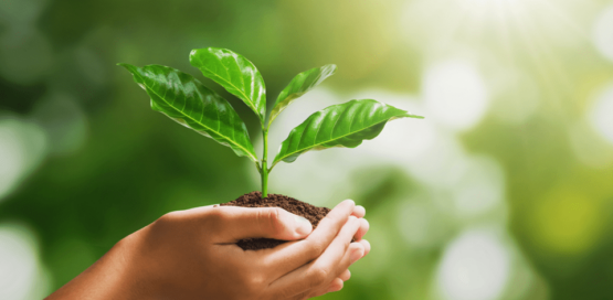 Chlorine Dioxide is eco-friendly and sustainable