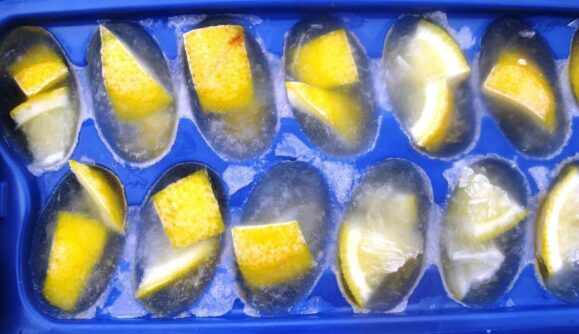 Freezing lemons in ice to clean a garbage disposal can be quite expensive.