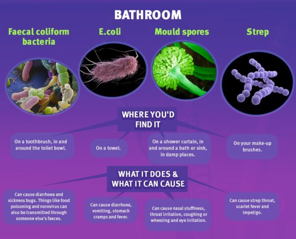 A chart of common bathroom bacteria