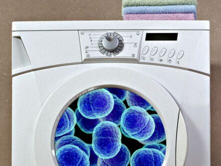 A dirty washing machine promotes cross-contamination.