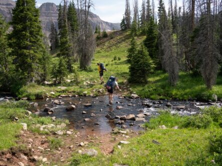 Using CLO2 to clean water
