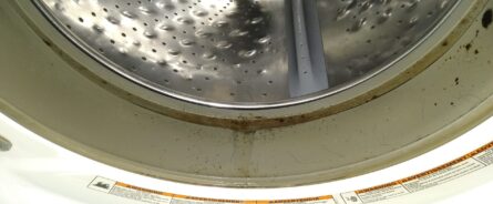 Mildew and other crud is built up on the gasket and other sections of the washer.