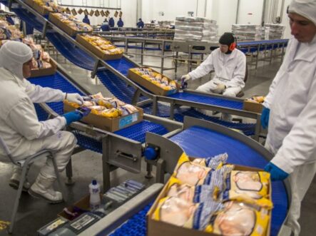 three workers wearing safety gear and processing and packing breads.
