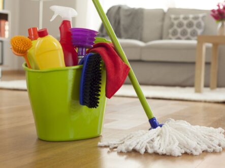 cleaning accessories in bucket and a mop along with bucket.