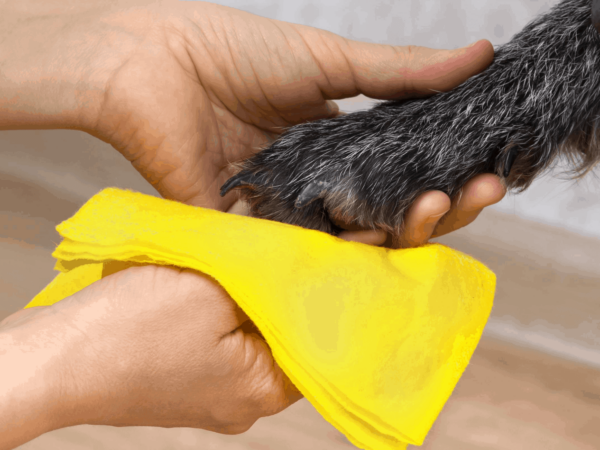 cleaning, deodorizing and sanitizing pet paw and fur takes a clo2