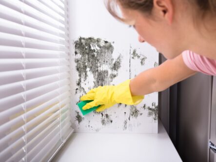 a woman removing mold from windows with a scrub.