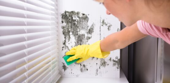 a woman removing mold from windows with a scrub.