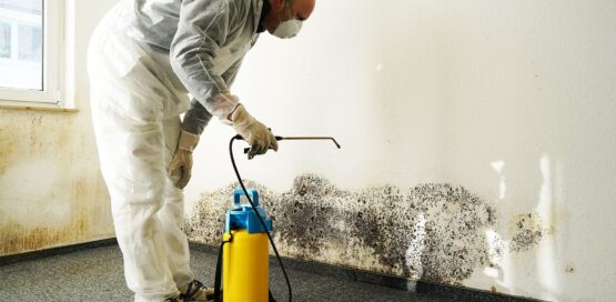 a mold remediation expert spraying clo2 solution on mold to kill mold.