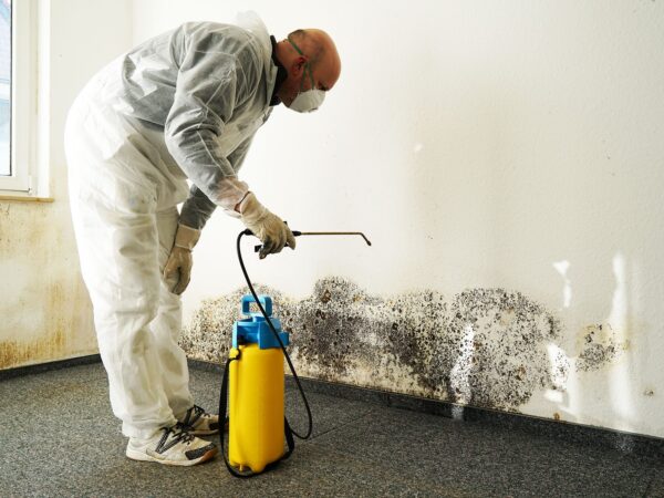 a mold remediation expert spraying clo2 solution on mold to kill mold.