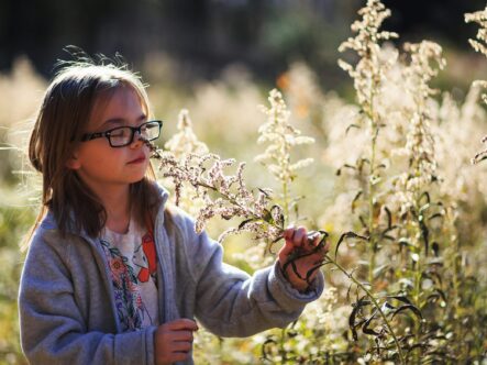 CLO2 can be safely used around Children and pets if used as directed.