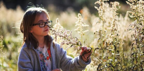 CLO2 can be safely used around Children and pets if used as directed.