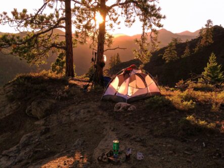 tenting in the wilderness
