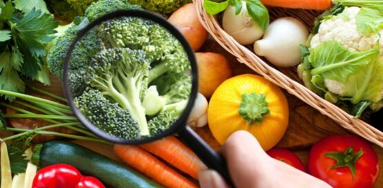 close shot of a hand with magnifying glass seeing vegetables.