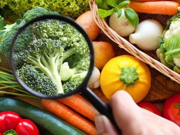 close shot of a hand with magnifying glass seeing vegetables.