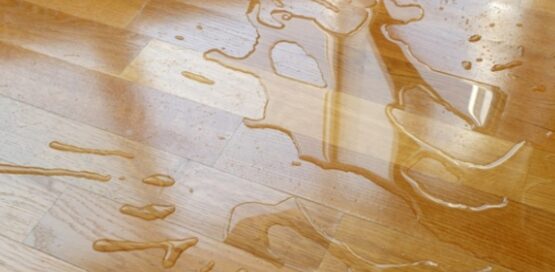 urine stain on hardwood floor.