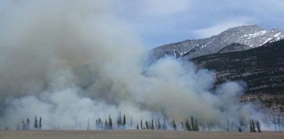 wildfires in canada